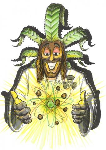 Seme di Cannabis - Quantamon Critical